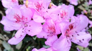 20160326_170604