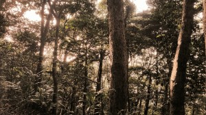 20160326_172725