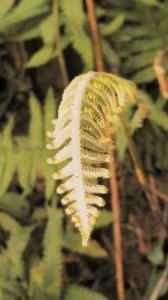 20160326_174151