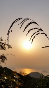 20160326_174628